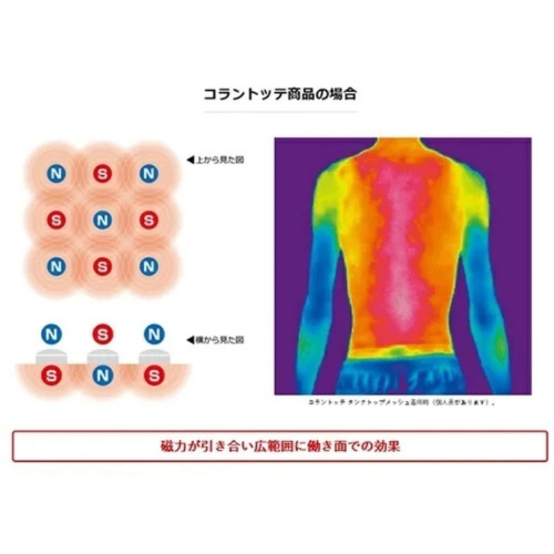 ムラスポ公式 Colantotte コラントッテ 磁気ネックレス CREST クレスト ゴールド ABAAS52 KANDAIZUMI_COM