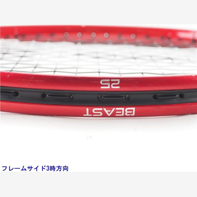 寒蘭-019 486-4H 日光×薄桃花（大輪更紗無点×西雄） 苗 交配種