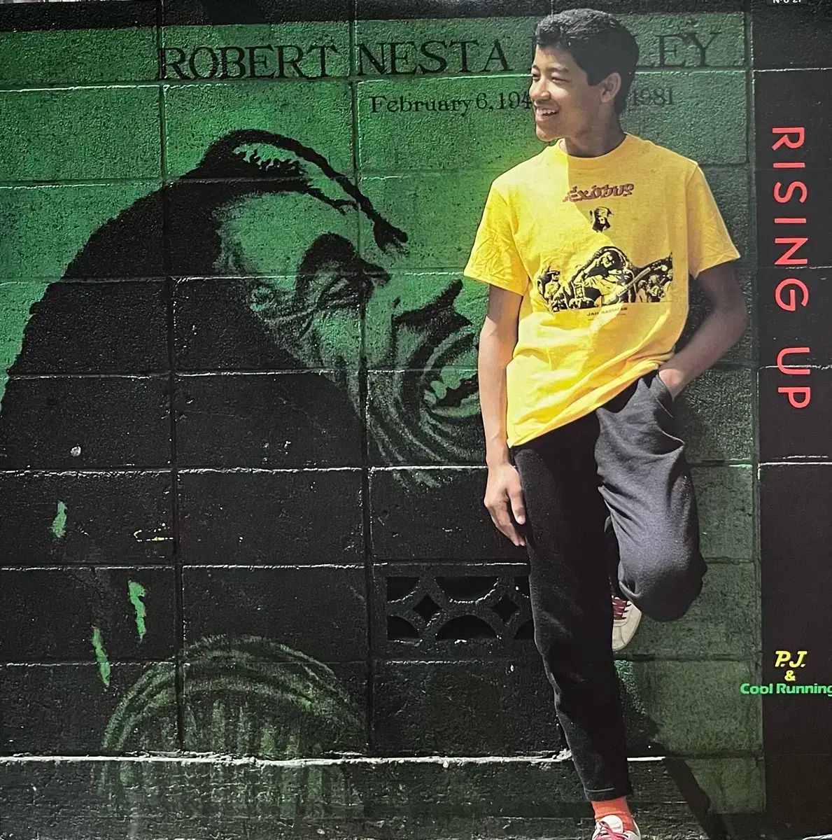 レゲエ P J ＆ Cool Runnings ー Rising Up lp タイフーンクラブ
