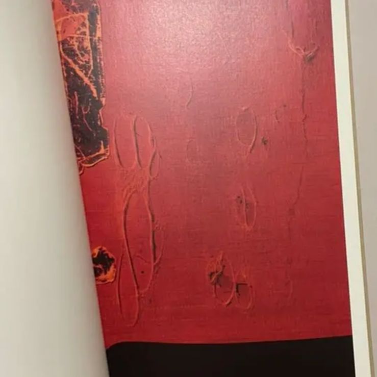 写真集 Harley Weir Paintings - メルカリ