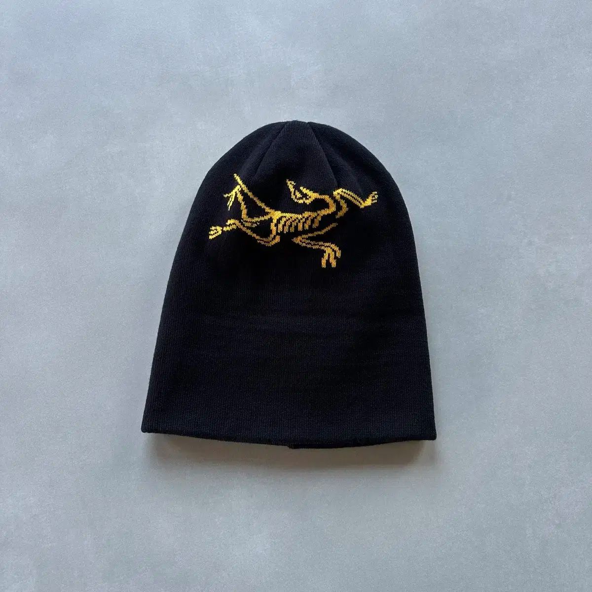 palace × Arc'teryx コラボ ビーニー ARCTERYX x PALACE beanie – Rich