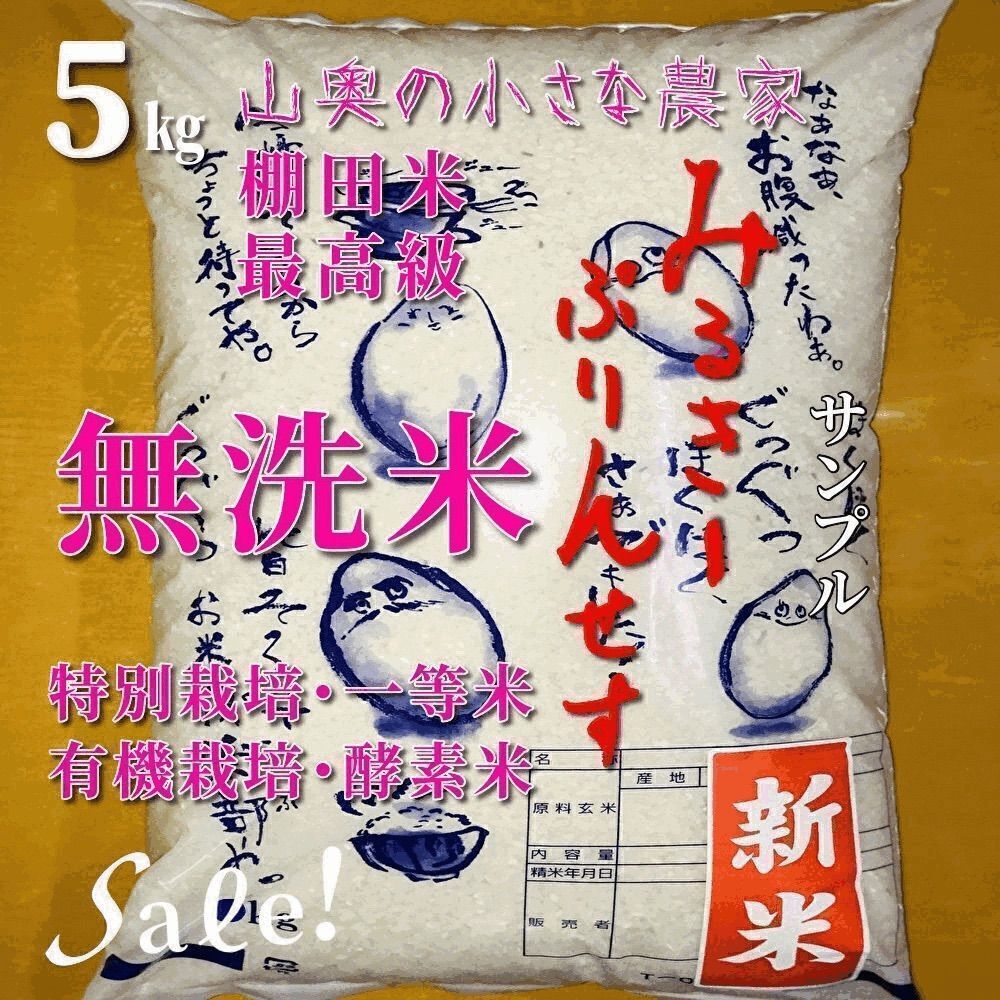 新米４年 玄米５ｋｇ ミルキープリンセス 「無洗米に精米」ミルキークィーン - メルカリ