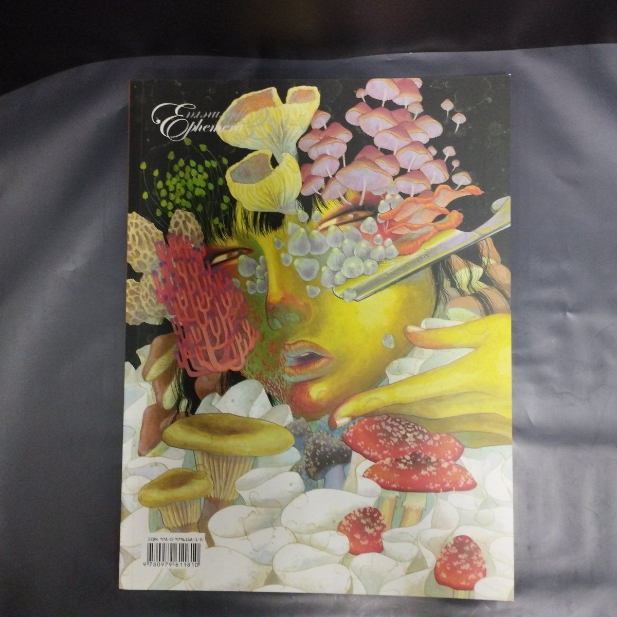 【バーゲンSALE】 D13770 上田風子 オードリー カワサキ 図録 快調な