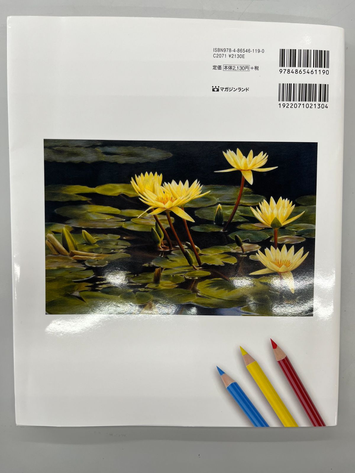 ◇【中古】原田シンジの世界 技法と作品 驚嘆のリアル色鉛筆
