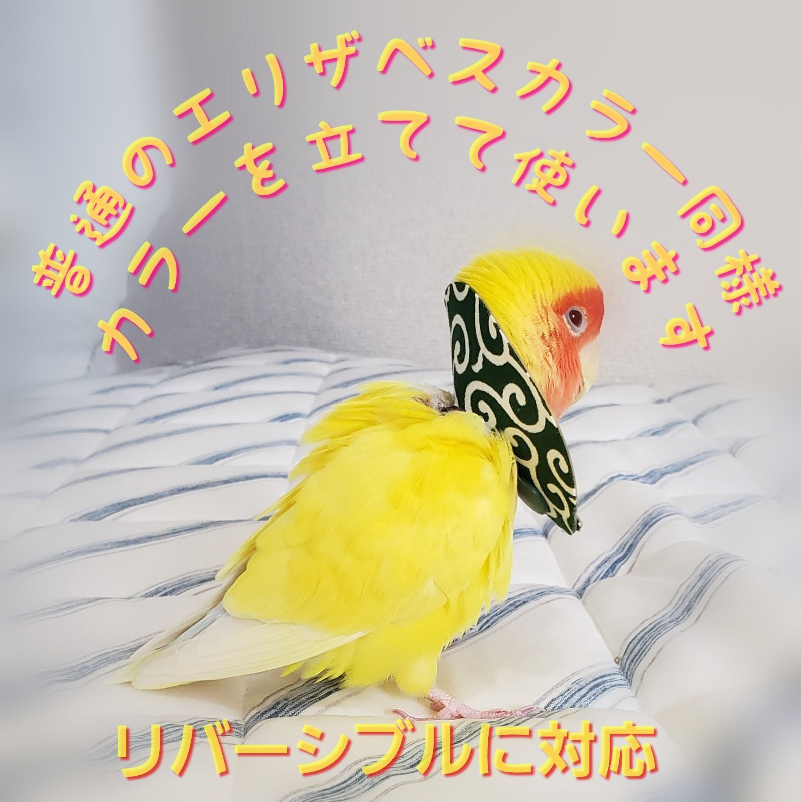 インコ エリザベスカラー(鱗・うろこ)1枚・3サイズ・4g - ペット用品