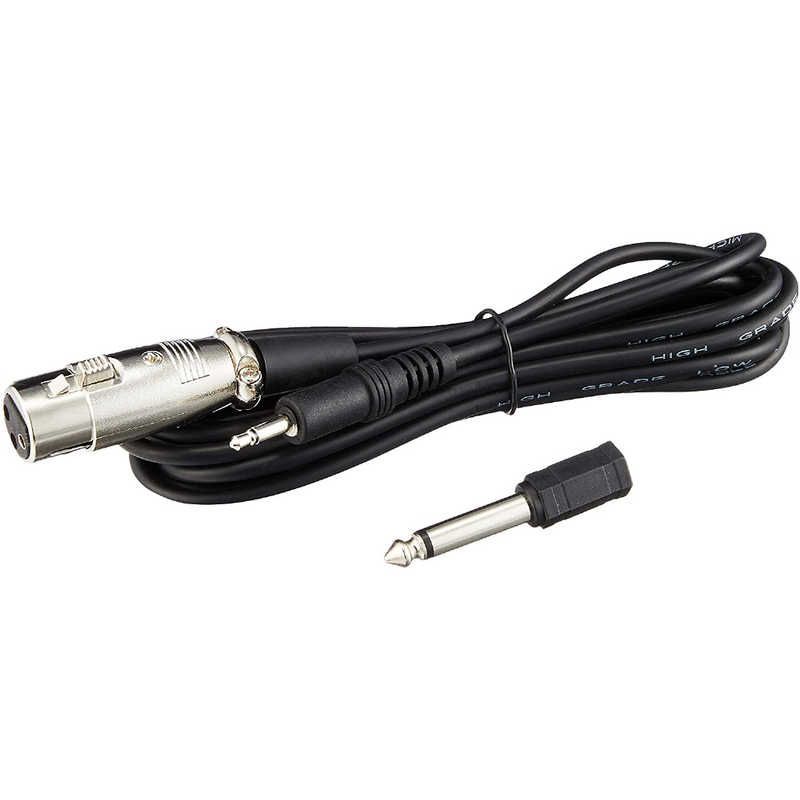 新品 未使用 未開梱】 WINTECH カラオケエコーマイクロホン