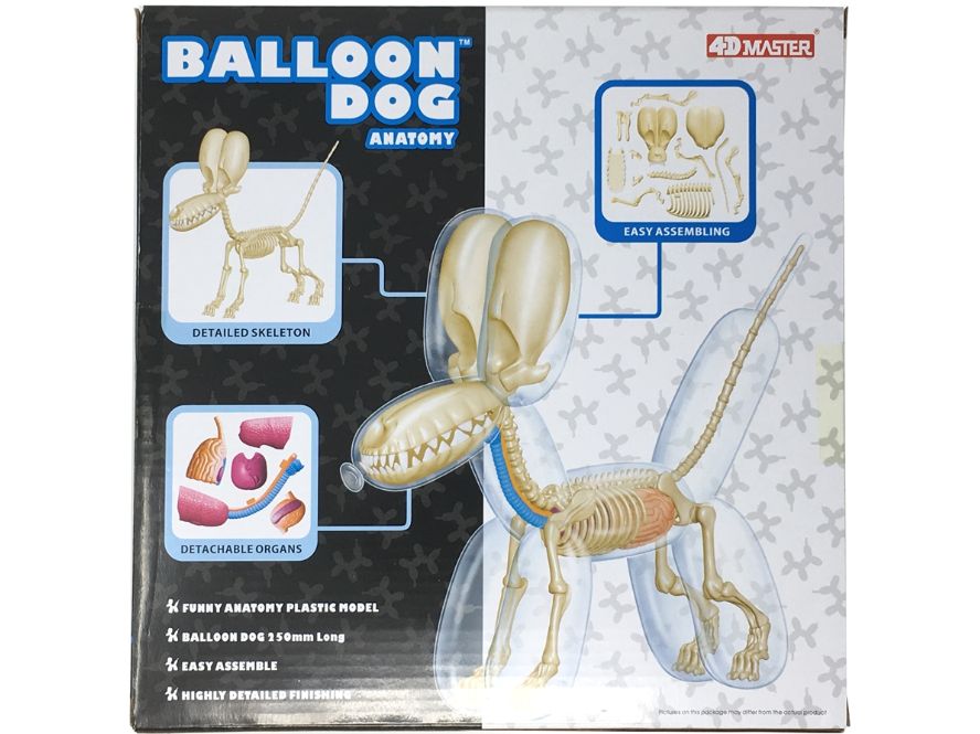 Balloon Dog Anatomy jason freeny バルーンドッグ 4DMASTER