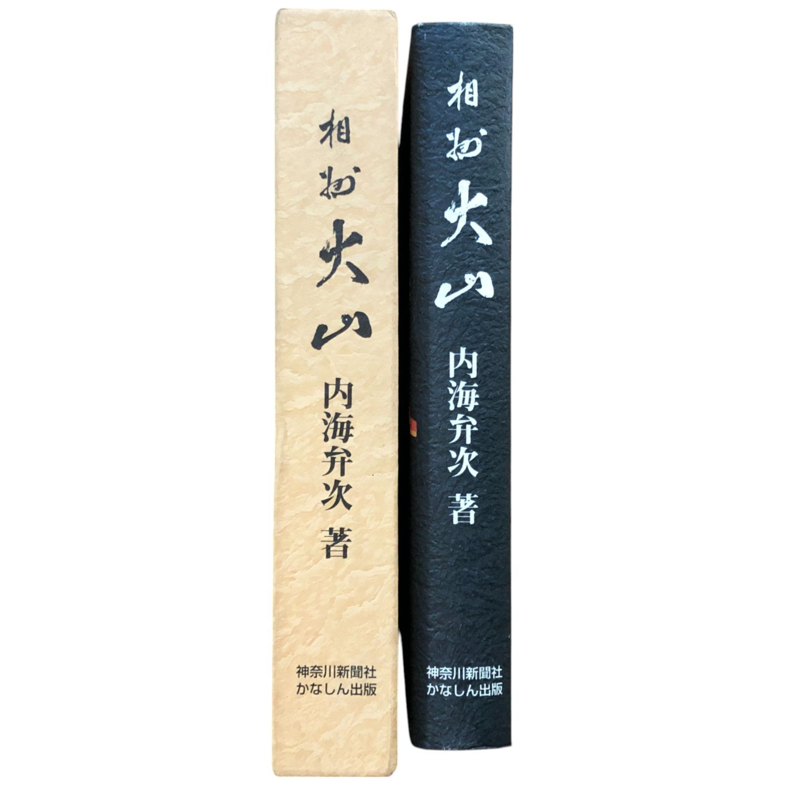 相州大山/神奈川新聞社/内海弁次（単行本） 相模大山 内海弁次 神奈川新聞社 かなしん出版 ccB54ynm6 - メルカリ