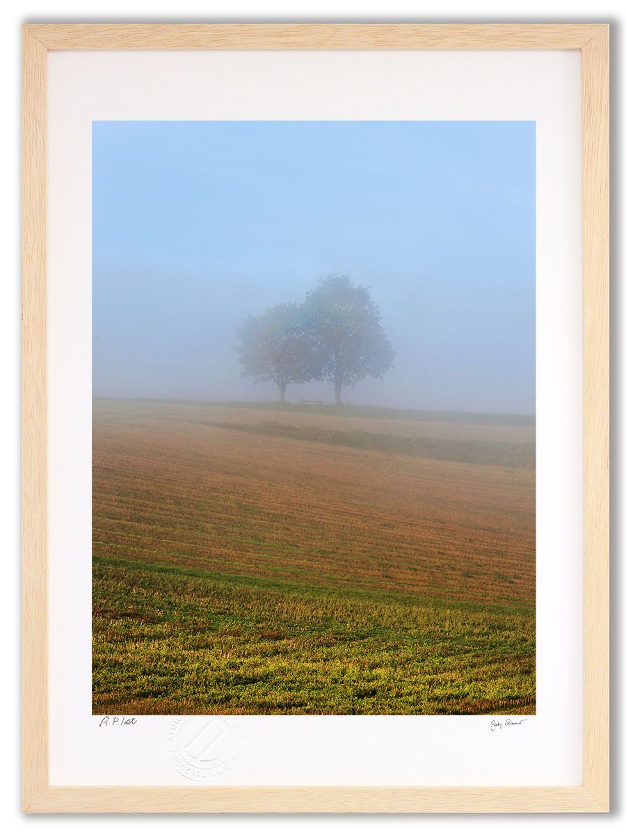 セリーヌ・ファラク直筆サイン入り2Lサイズ写真…Celine Farach Amazon