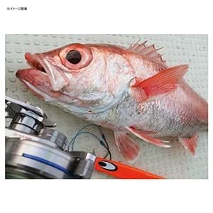 ダイワDAIWA