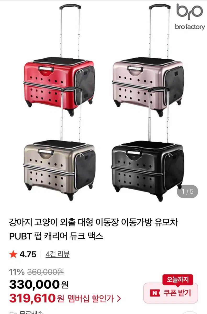 Lycee PSA10 夏のてんこ盛りパック ネクストン アマカノ 連番 PSA10 10