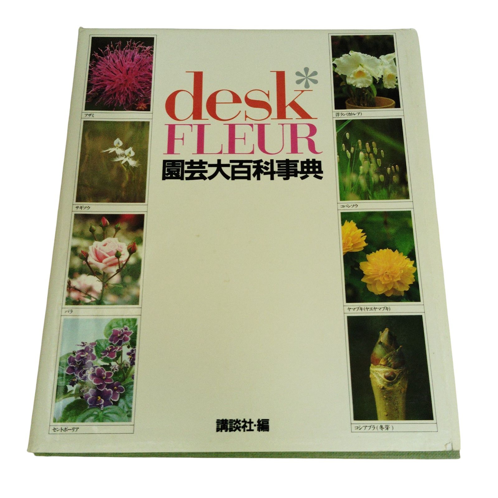 X09093 園芸百科事典 講談社 desk FLEUR ISBN4-06-202313-X