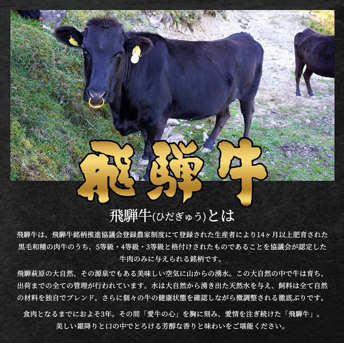 10000円