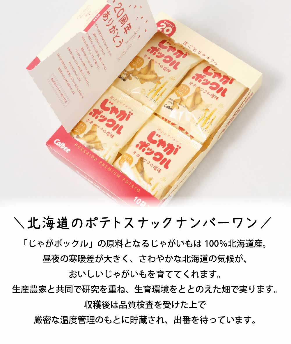 おみやげ ベスト10