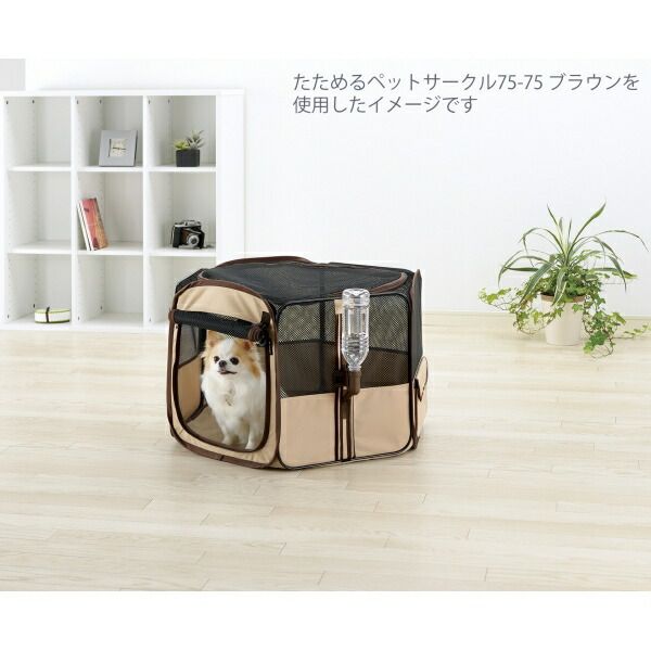 ピンク