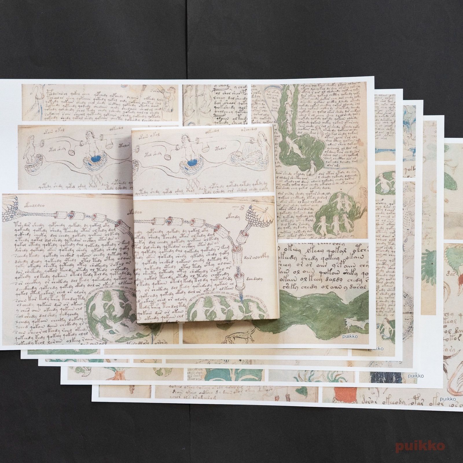 ヴォイニッチ手稿 ハードカバー ヴォイニッチ手稿複製本（The Voynich Manuscript）