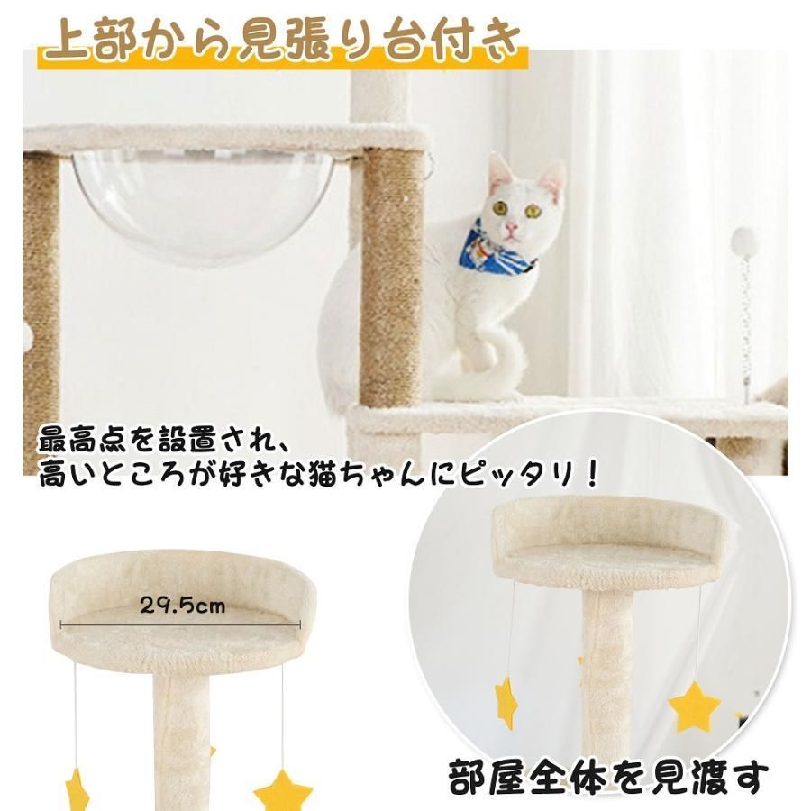 大型猫