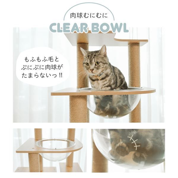● 木登りアスレチックタワー