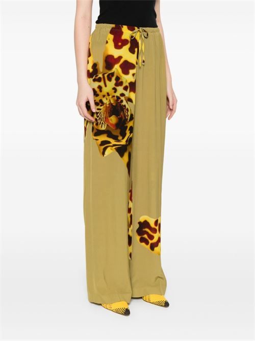 DRIES