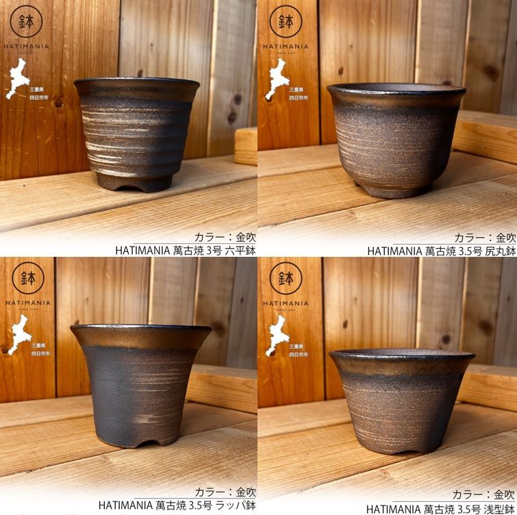 HATIMANIA 鉢マニア 金吹 3号 六平 3.5号 尻丸 ラッパ 3.5号 浅