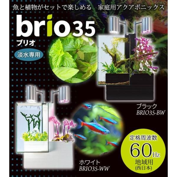 3営業日で発送 ka742 brio ブリオ brio35 キャビネット ブラック
