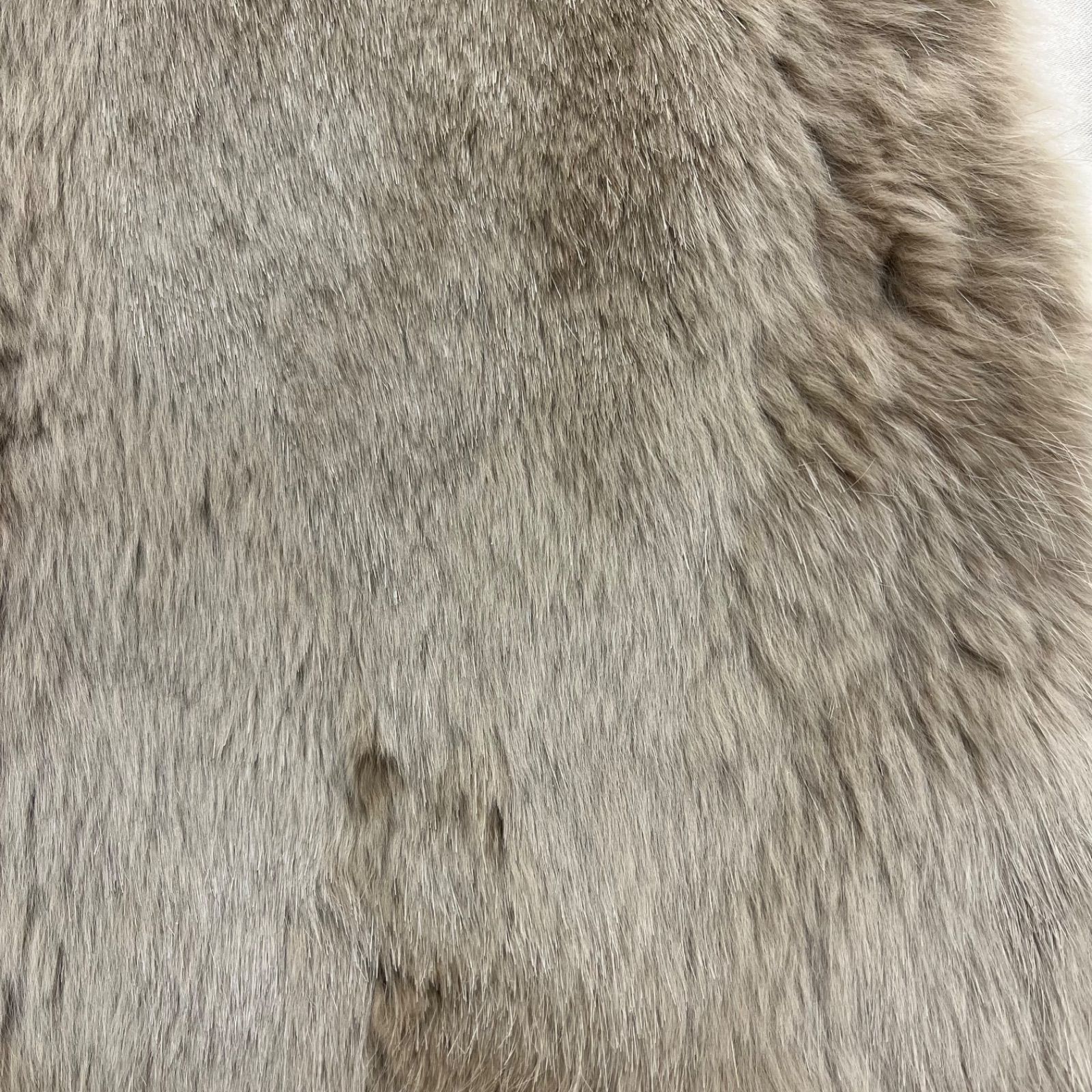 キャメル