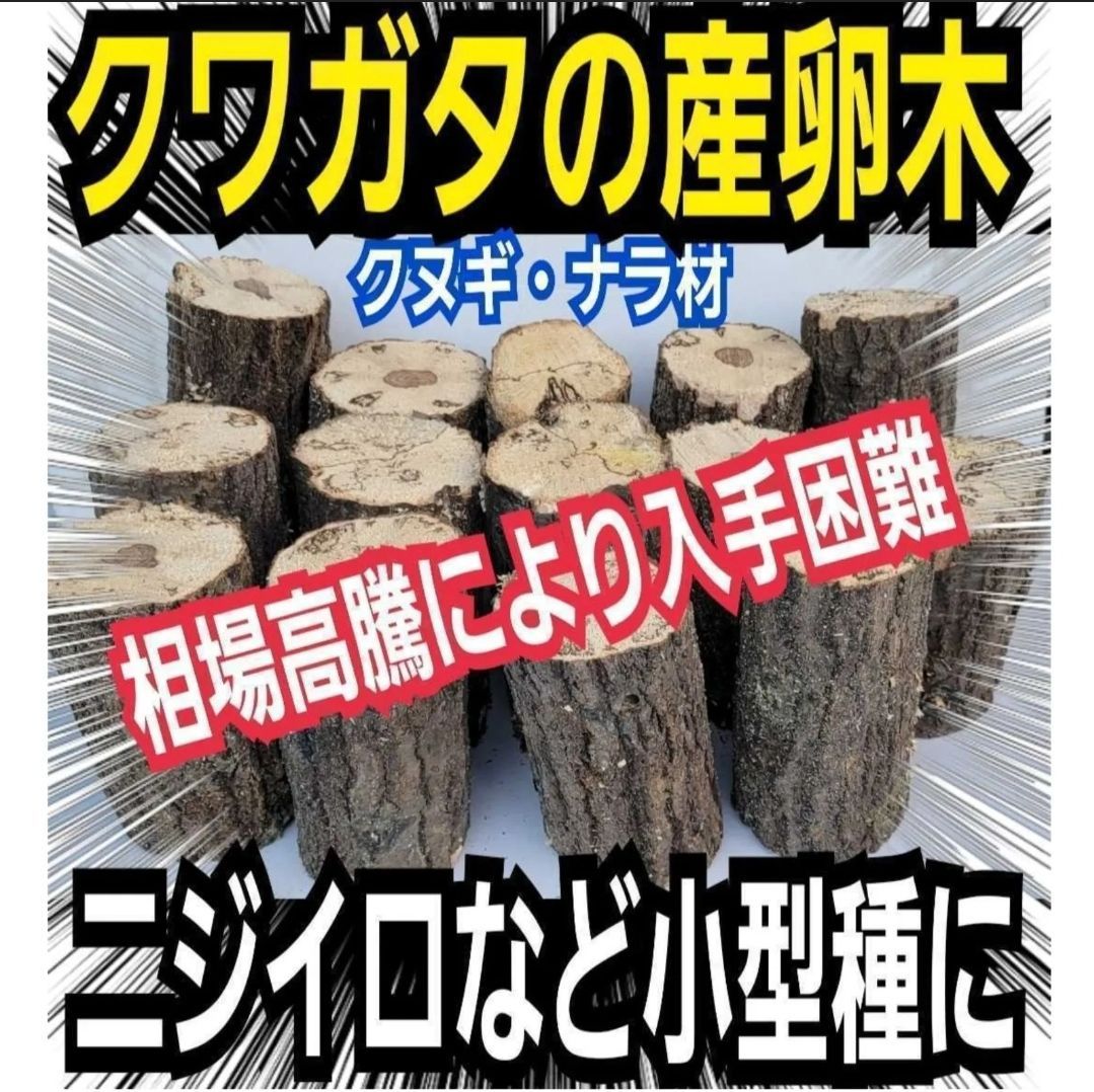 23区GOLF ゴルフ 撥水 高保温 ストア 総柄 中綿入ストレッチ ナイロン