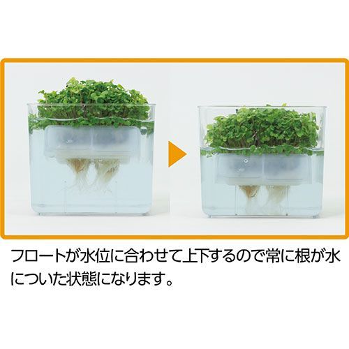 対象 10個セット