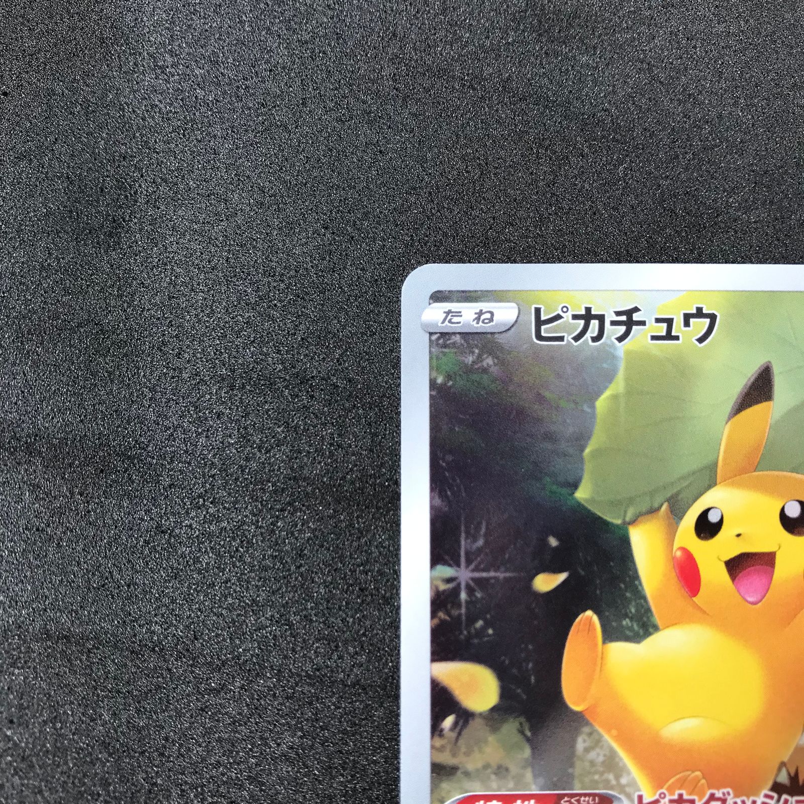 ポケモンカード 205/172/S12A/B ピカチュウ AR アートレア ピカ ポケモンカード 205/172/S12A/B ピカチュウ AR アートレア ピカ