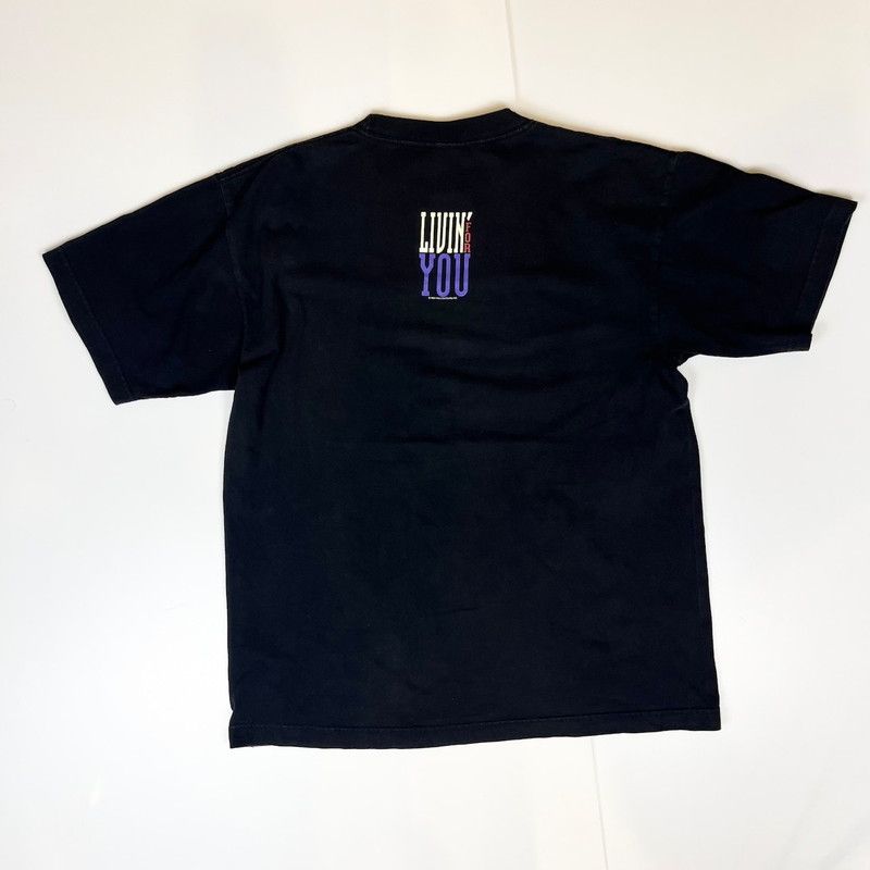 BOSTON ボストン 2014 来日 ツアー バンドTシャツ М0120 ボストン BOSTON ライブTシャツ バンドTシャツ 2014