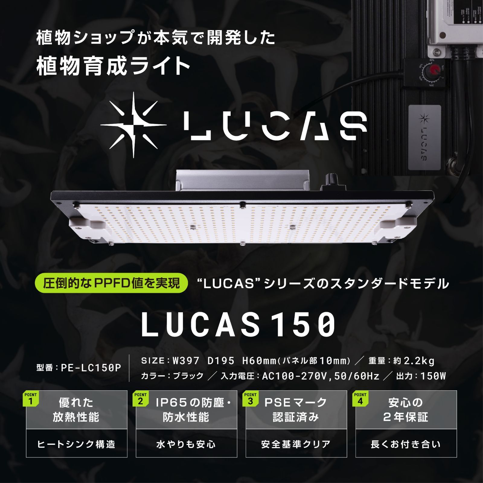 LUCAS150 光量にこだわる方のスタンダードモデル