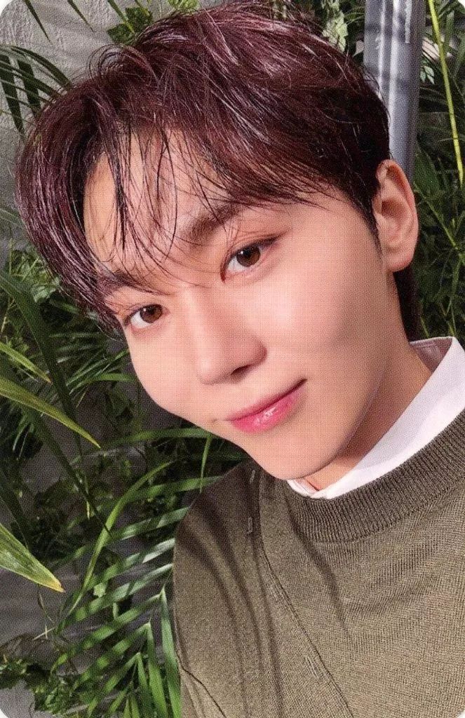 中古】コレクションカード(男性) SEVENTEEN/スングァン(SEUNGKWAN)/CD