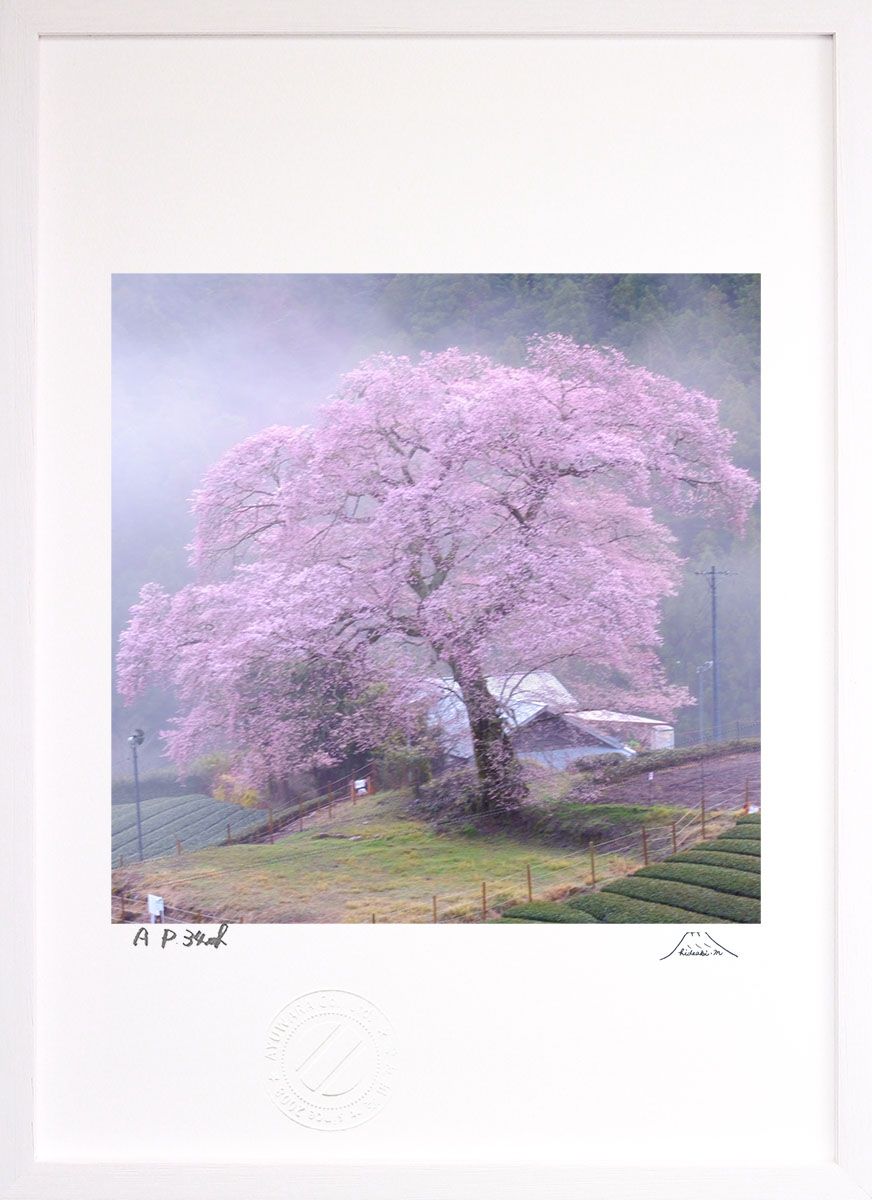 森山大道 写真集 Marrakech Super Labo ページ外れあり Marrakech