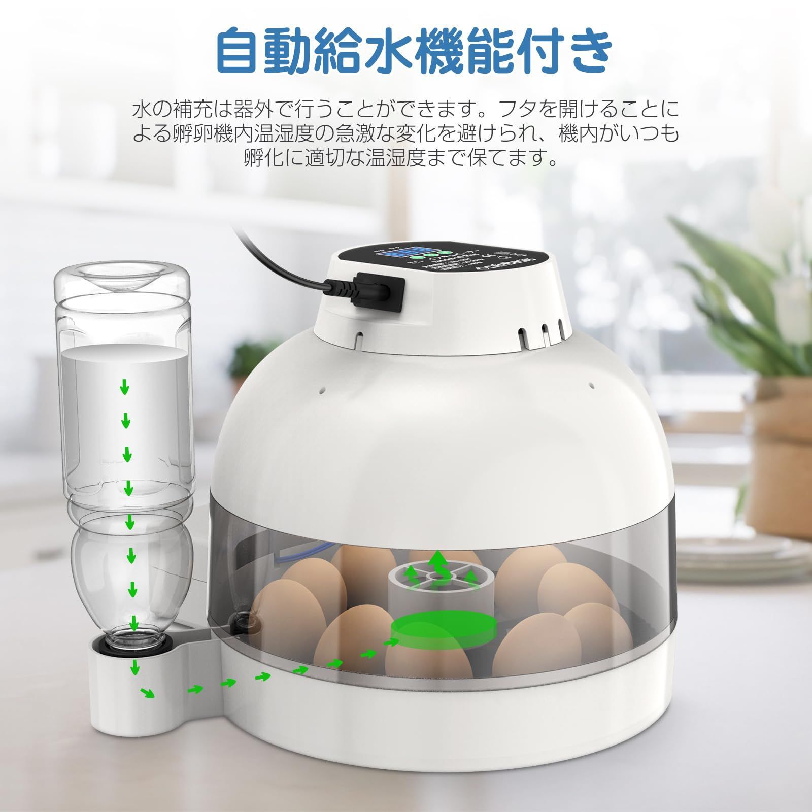 Rcom mini リトルママ 孵卵器 楽天市場】ベルバード リトルママ 鳥用 小型自動孵卵器 RCOM