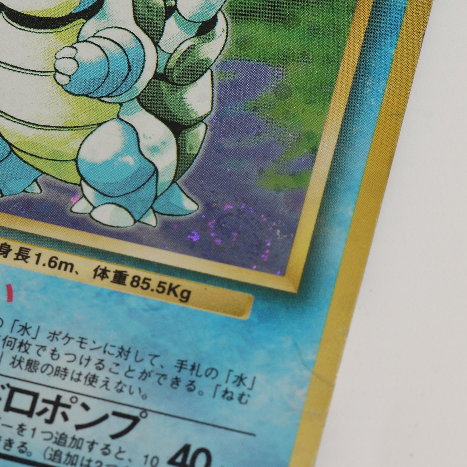 ネコポス】カメックス ポケットモンスター カードゲーム 拡張