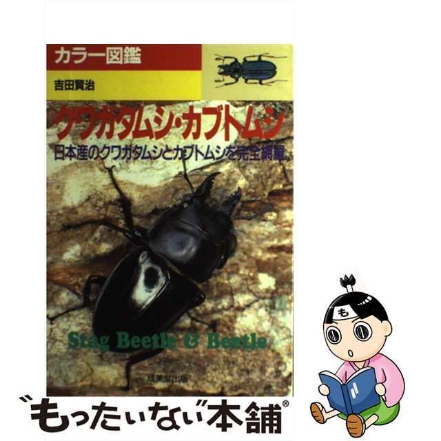 中古】 クワガタムシ・カブトムシ 日本産のクワガタムシとカブトムシを