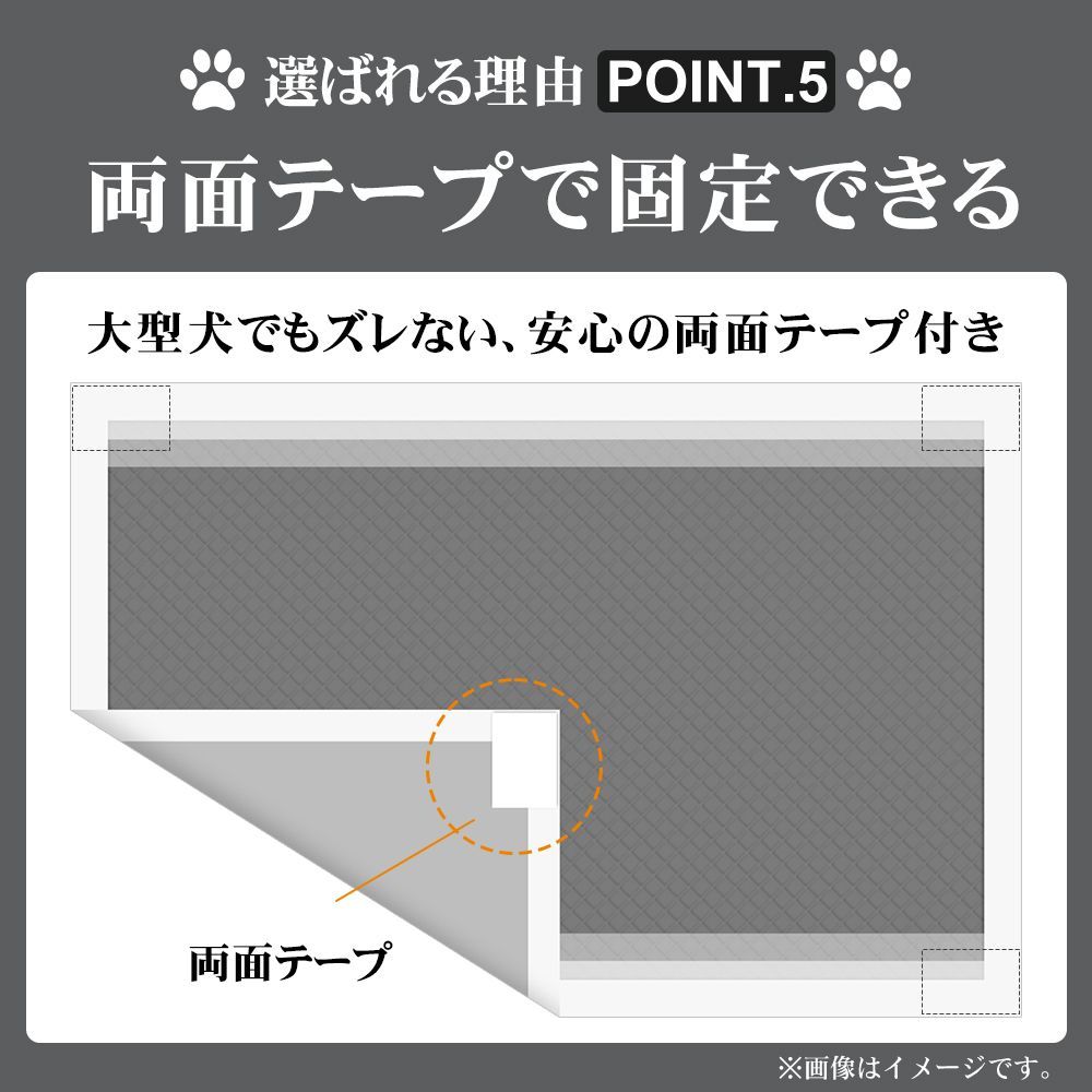 ワイド
