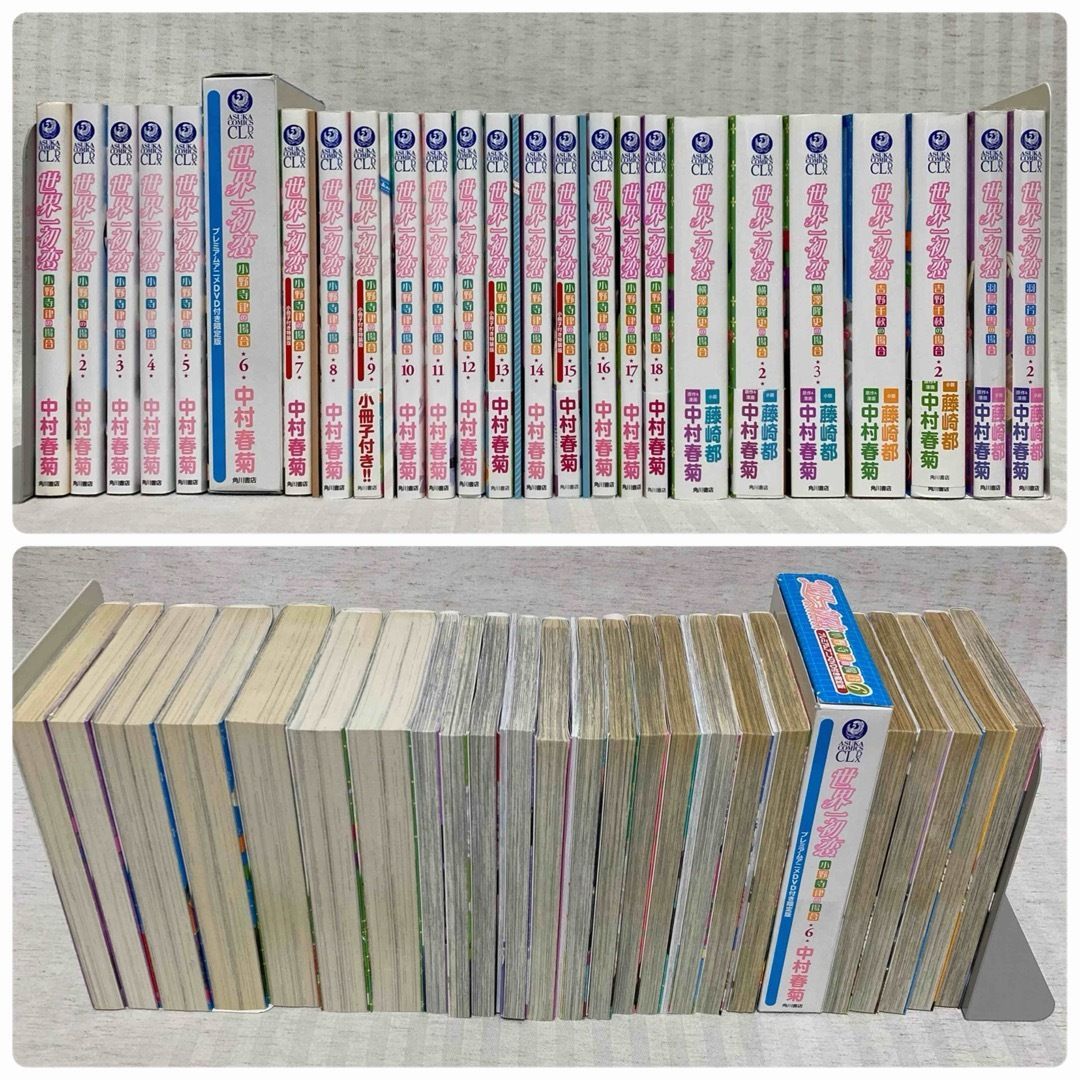 純情ロマンチカ 世界一初恋 全巻 小冊子 DVD クリアファイル 中村春菊