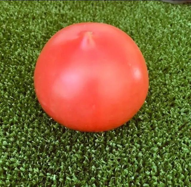 甘熟❣️桃太郎🍅2.6キロ！バラ詰め！農家👩‍🌾より直送！🚚メルカリ便80サイズ段ボール！