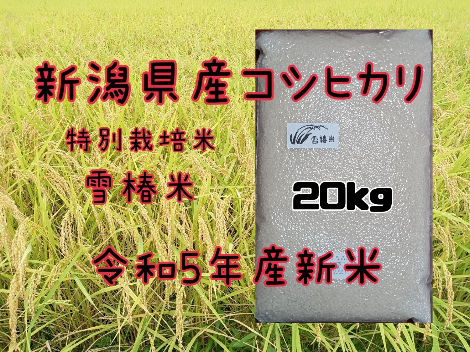 特別栽培米新潟県産コシヒカリ20k - メルカリ