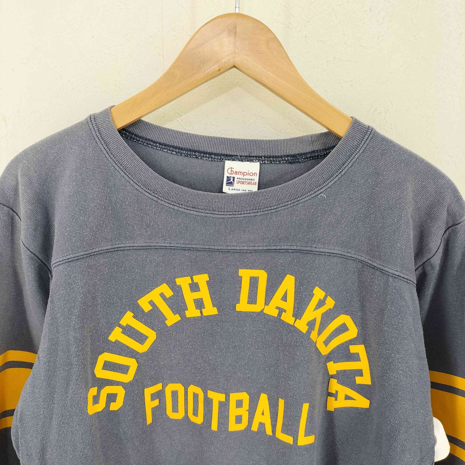 チャンピオン Champion 復刻 ランタグ フットボールTシャツ SOUTH
