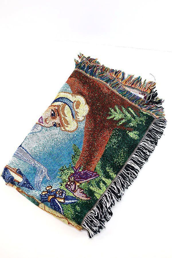 Used 90s-00s USA THE NORTH WEST Disney Princesses Gobelin Weave Rug 古着