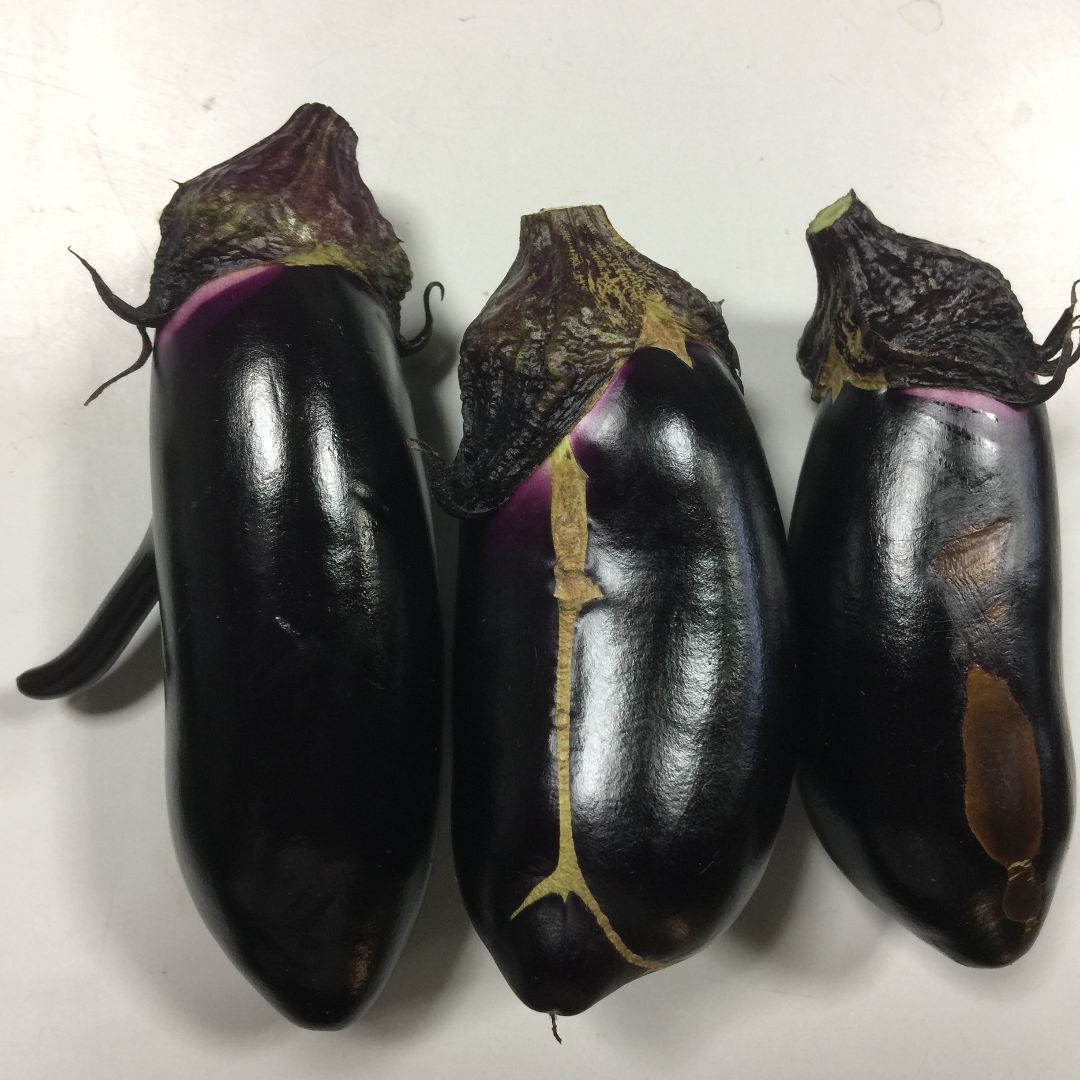 ☆訳あり 規格外☆朝どり 茄子 なす 20本 60サイズ - メルカリ
