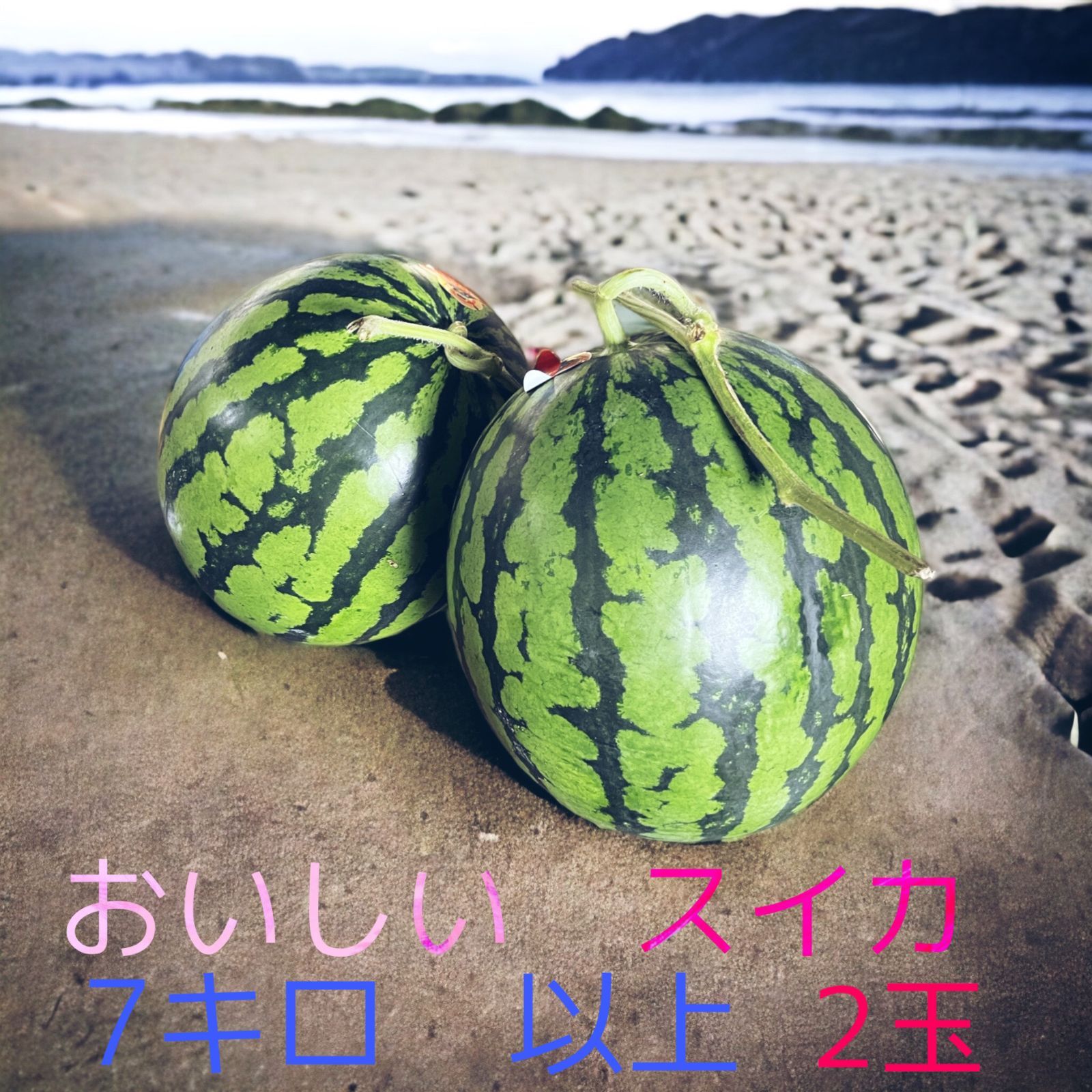 大容量 熊本県産 すいか 約6kg以上ある大玉スイカが２玉入り