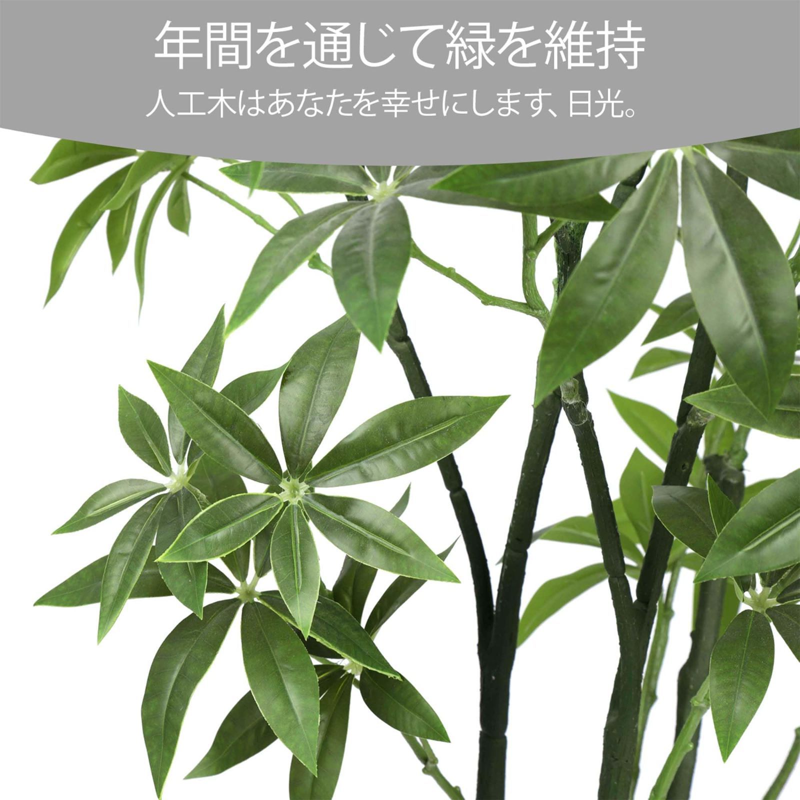 玄関 オフィス