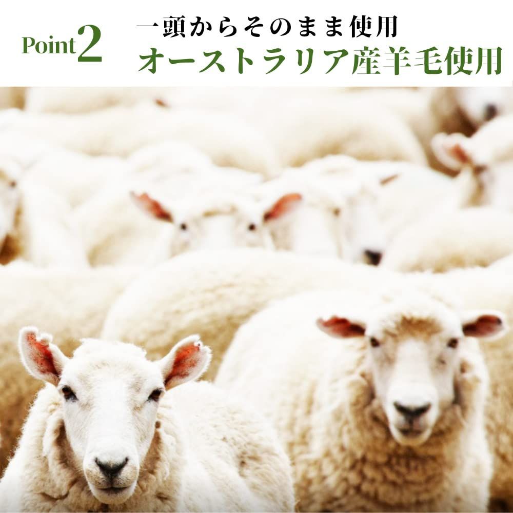 鹿ベンチ キャンプ