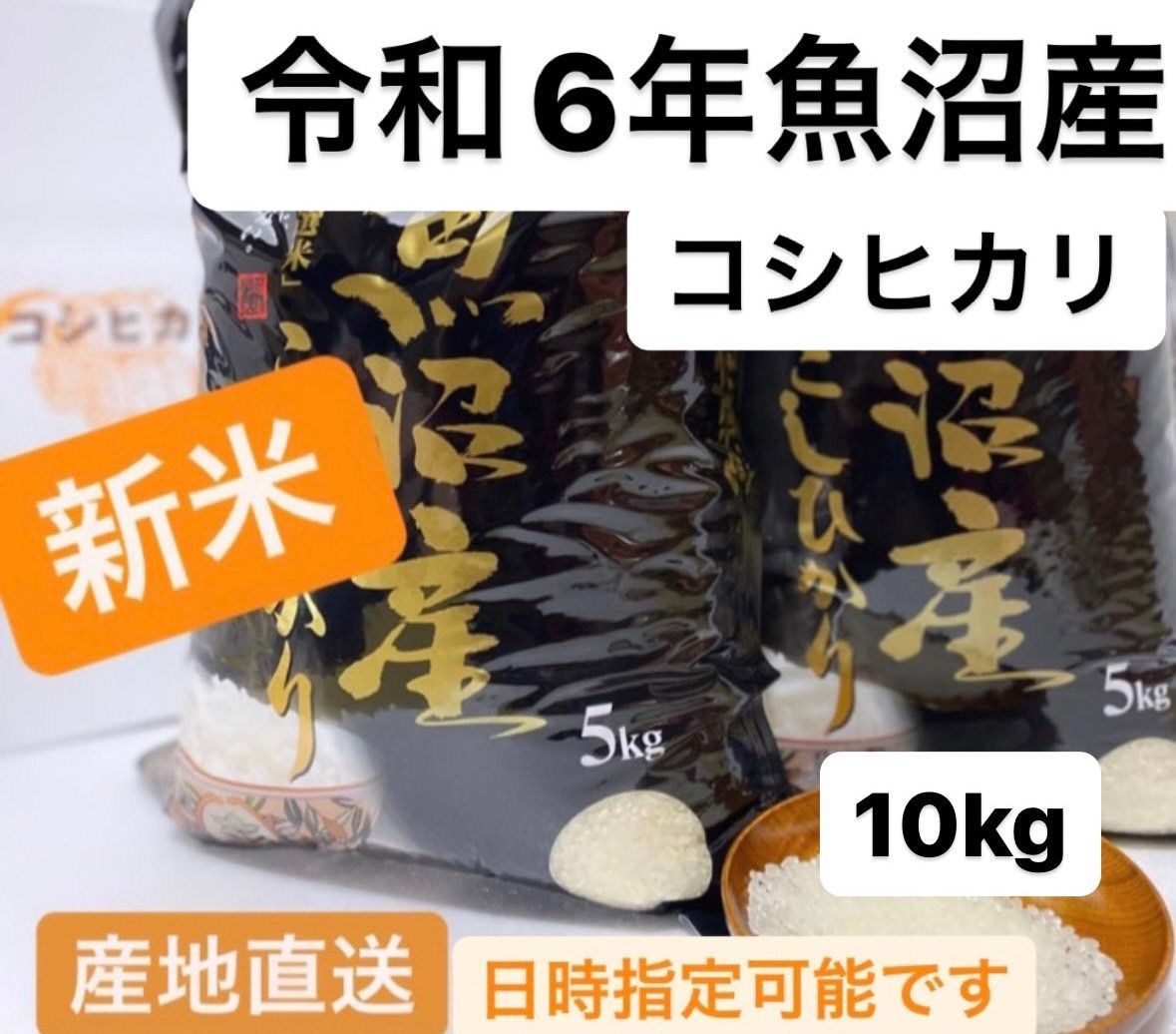 新米20Kg令和6年鳥取県産