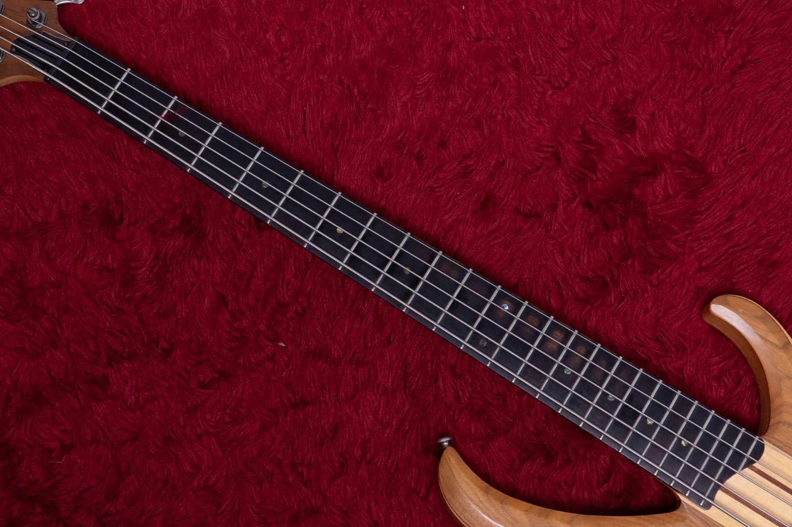 Ibanez |