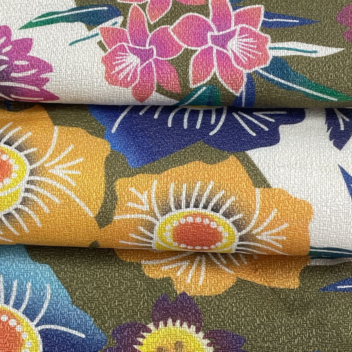 草花 菊