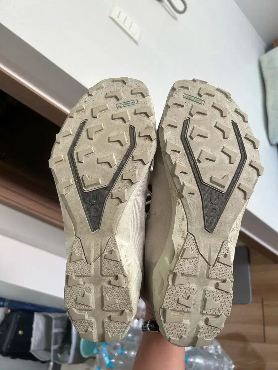 単ランニング パフ クラウドベンチャー アイスムーン